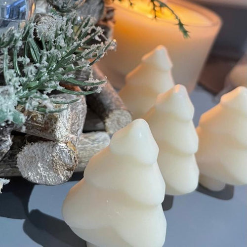 Winter Scented Soy Wax Melts