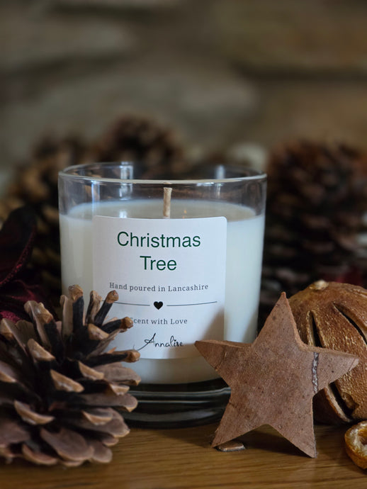Winter Scented Candle 30cl