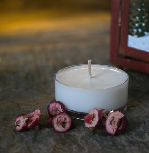 Winter Scented 12hr Tealight