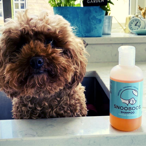 Snooboos Dog Shampoo